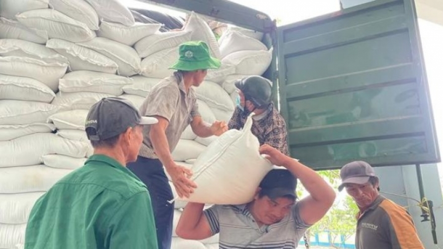 Int'l media praises Vietnamese Government’s urgent response to severe floods